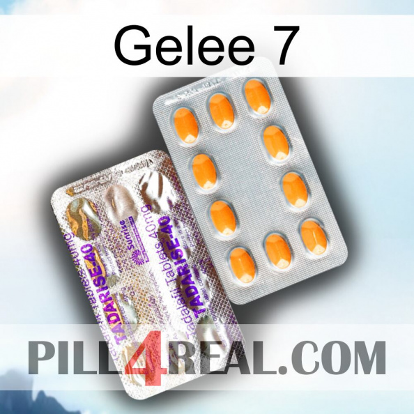 Jelly 7 new12
